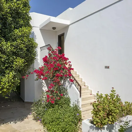 سيكين كوناكلاش