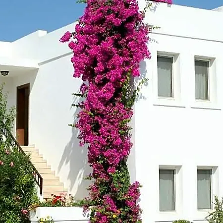 Seckin Konaklar 3* Bodrum